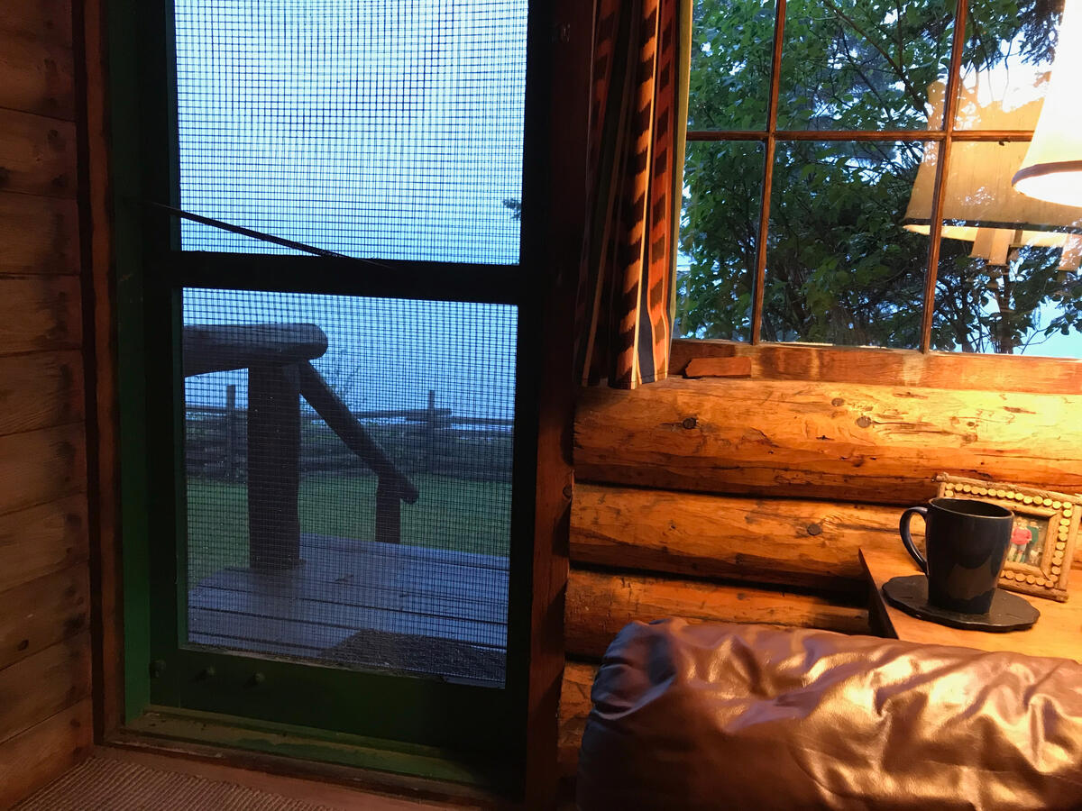 Looking out towards the lake